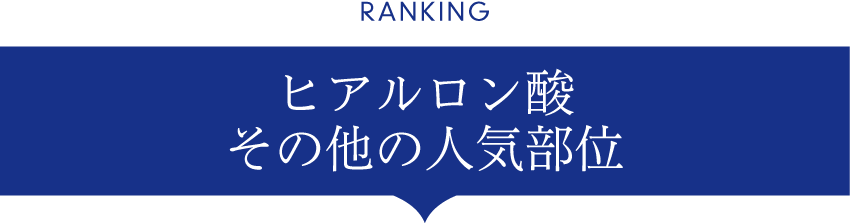 ヒアルロン酸その他の人気部位