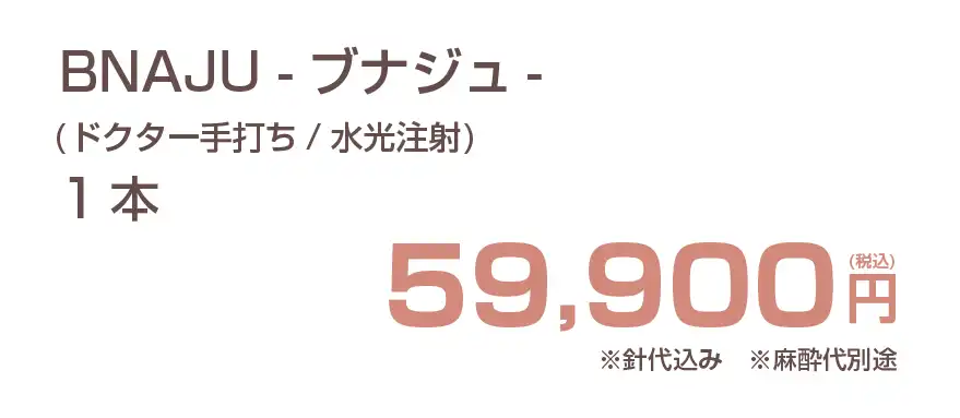 BNAJU(ブナジュ)の費用