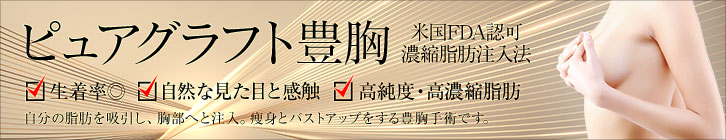 脂肪注入法 ピュアグラフト豊胸